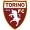 logo_torino
